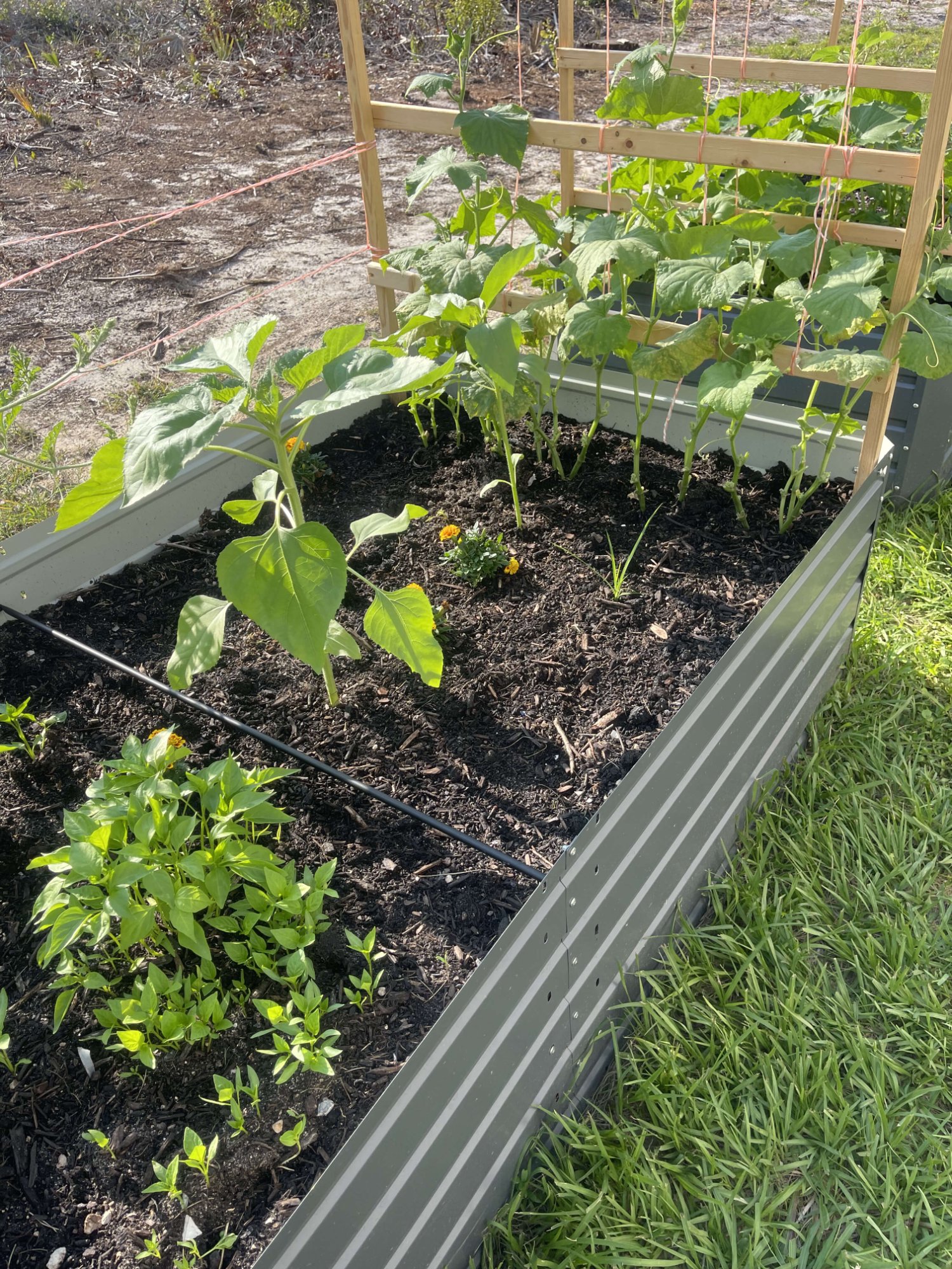 Raised garden bed